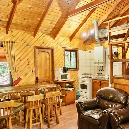 Cabanas Bafemadi Las Trancas Εξωτερικό φωτογραφία