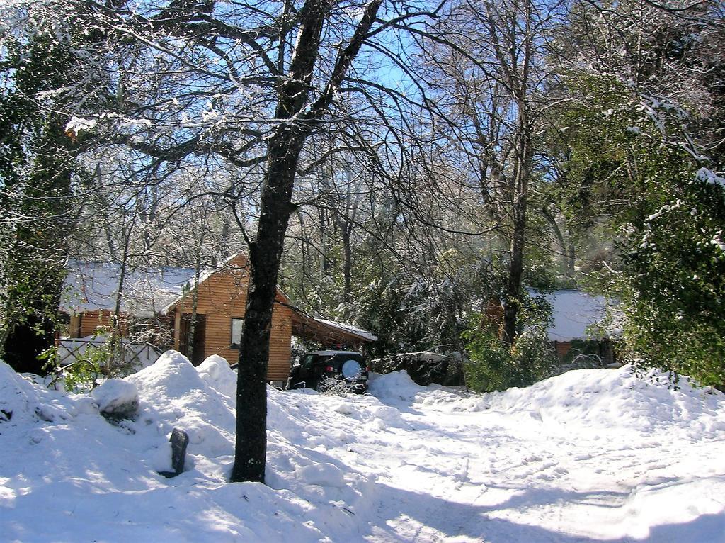 Cabanas Bafemadi Las Trancas Εξωτερικό φωτογραφία