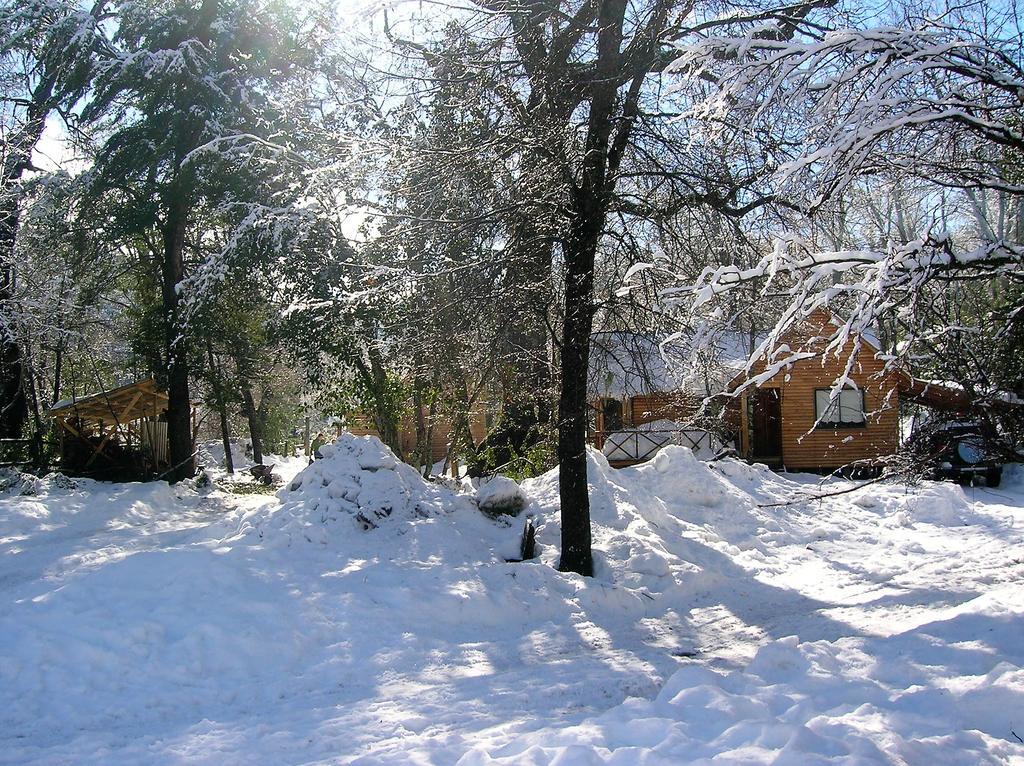 Cabanas Bafemadi Las Trancas Εξωτερικό φωτογραφία