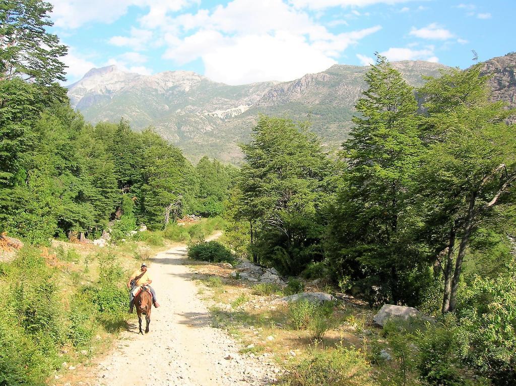 Cabanas Bafemadi Las Trancas Εξωτερικό φωτογραφία