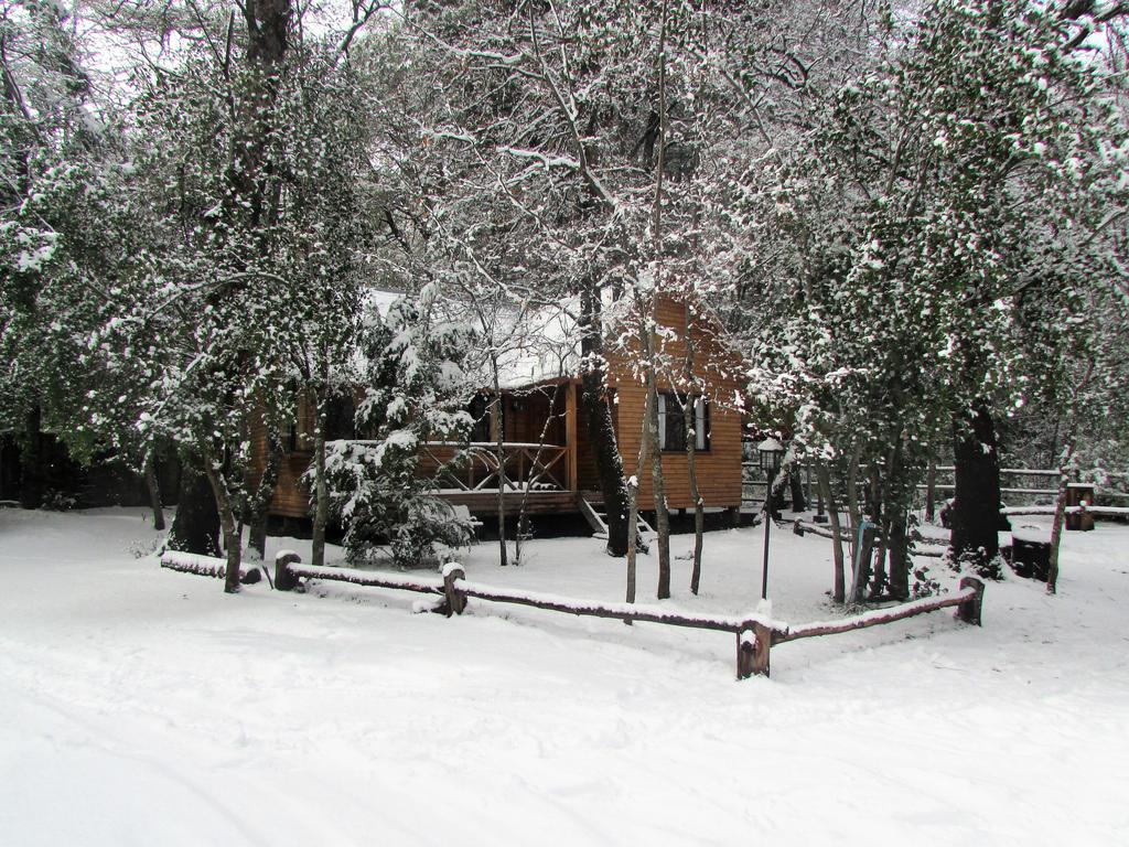Cabanas Bafemadi Las Trancas Εξωτερικό φωτογραφία